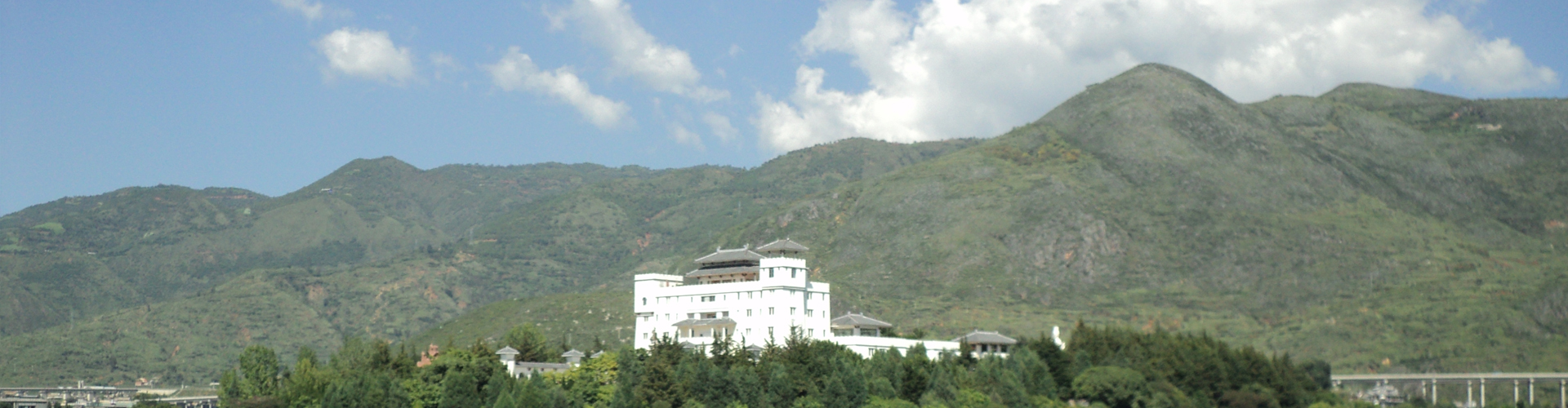 山東藍(lán)大投資有限公司