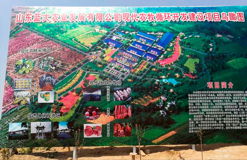 山東藍大農(nóng)業(yè)發(fā)展有限公司
