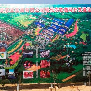 山東藍大農(nóng)業(yè)發(fā)展有限公司