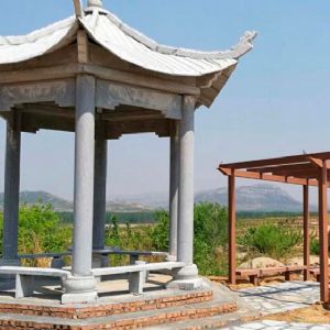 山東藍大農(nóng)業(yè)發(fā)展有限公司
