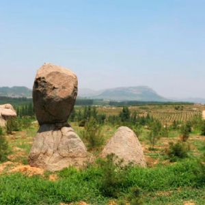 山東藍大農(nóng)業(yè)發(fā)展有限公司